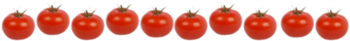 tomatoes